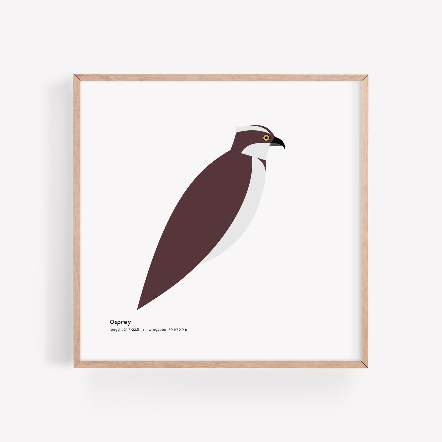 Osprey Art Print