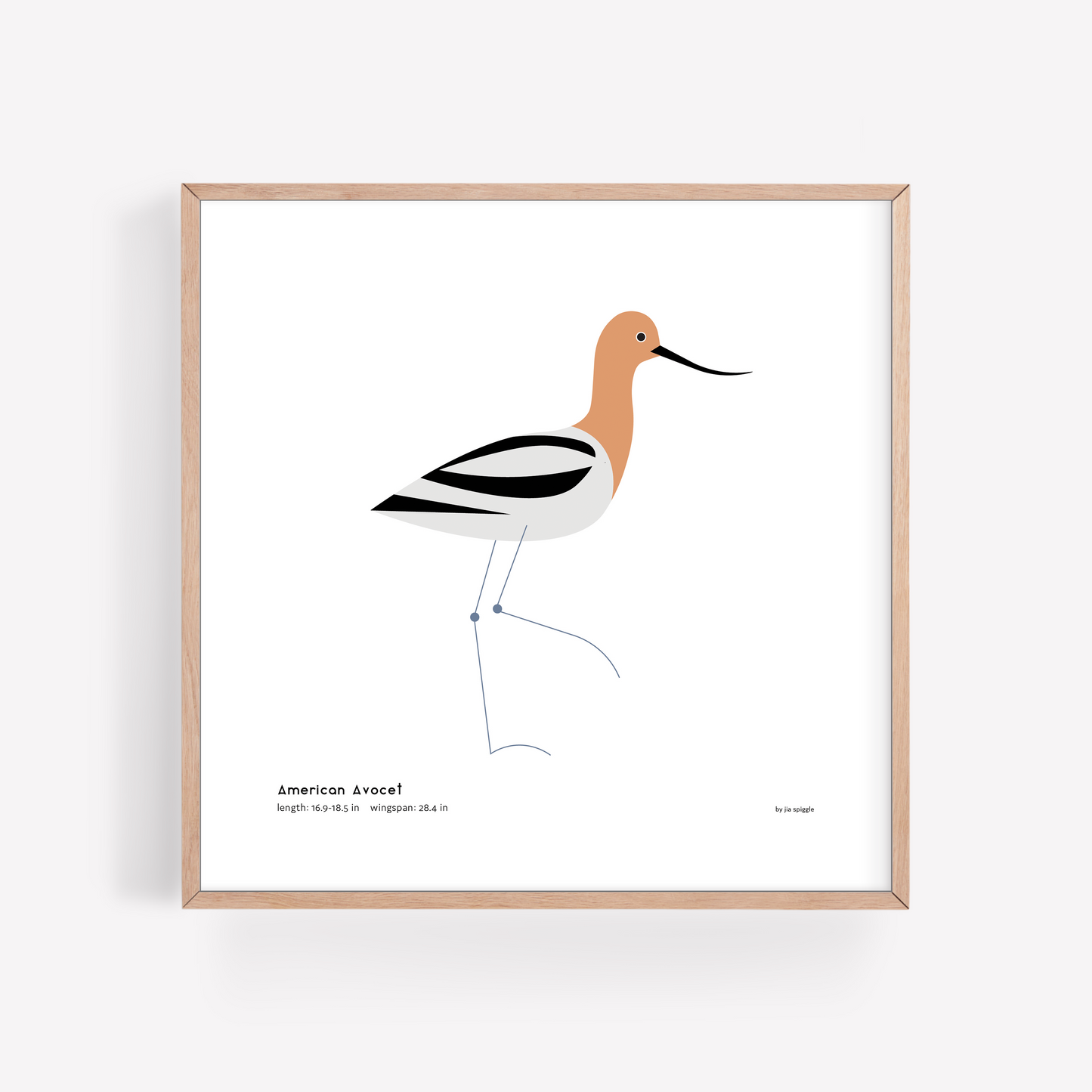 American Avocet Art Print
