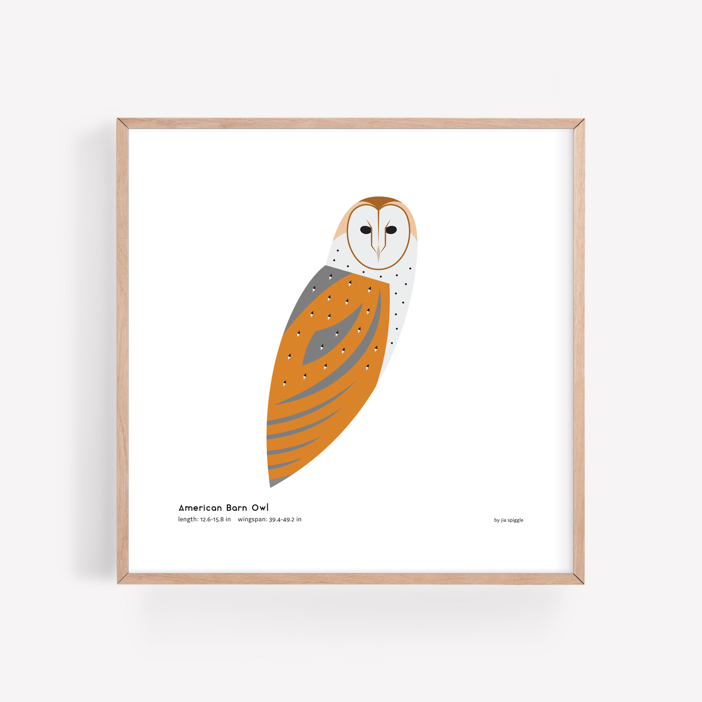American Barn Owl Art Print