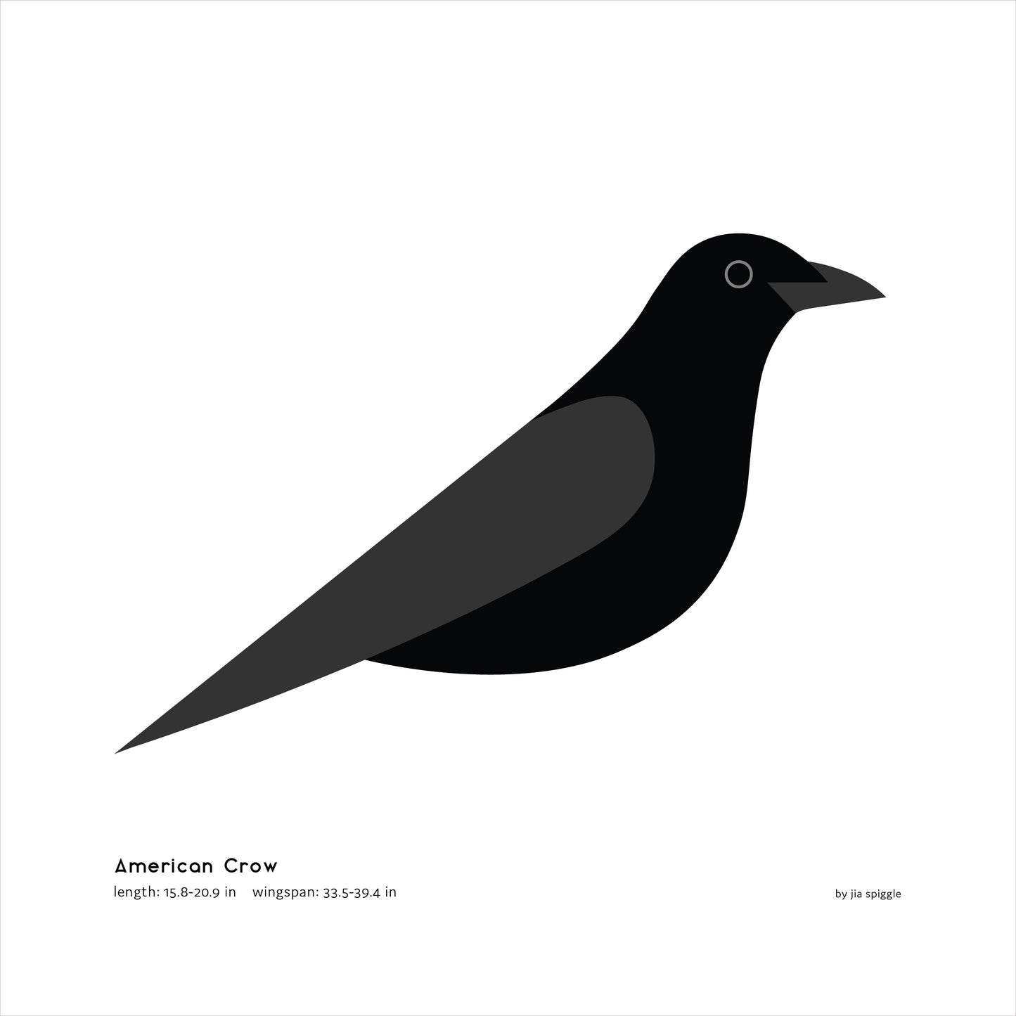 American Crow Art Print