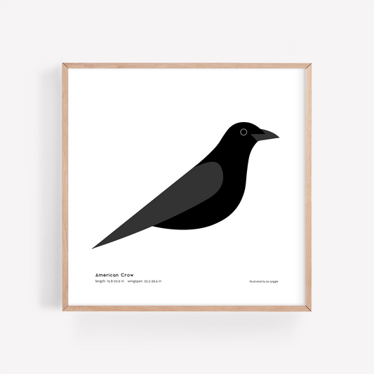 American Crow Art Print