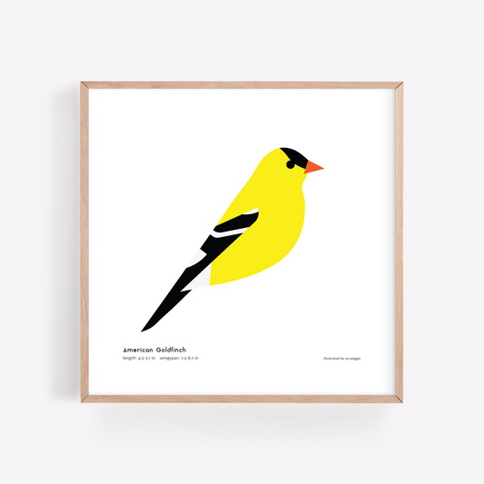 American Goldfinch Art Print