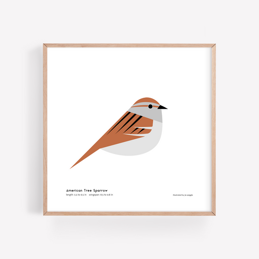 American Tree Sparrow Art Print