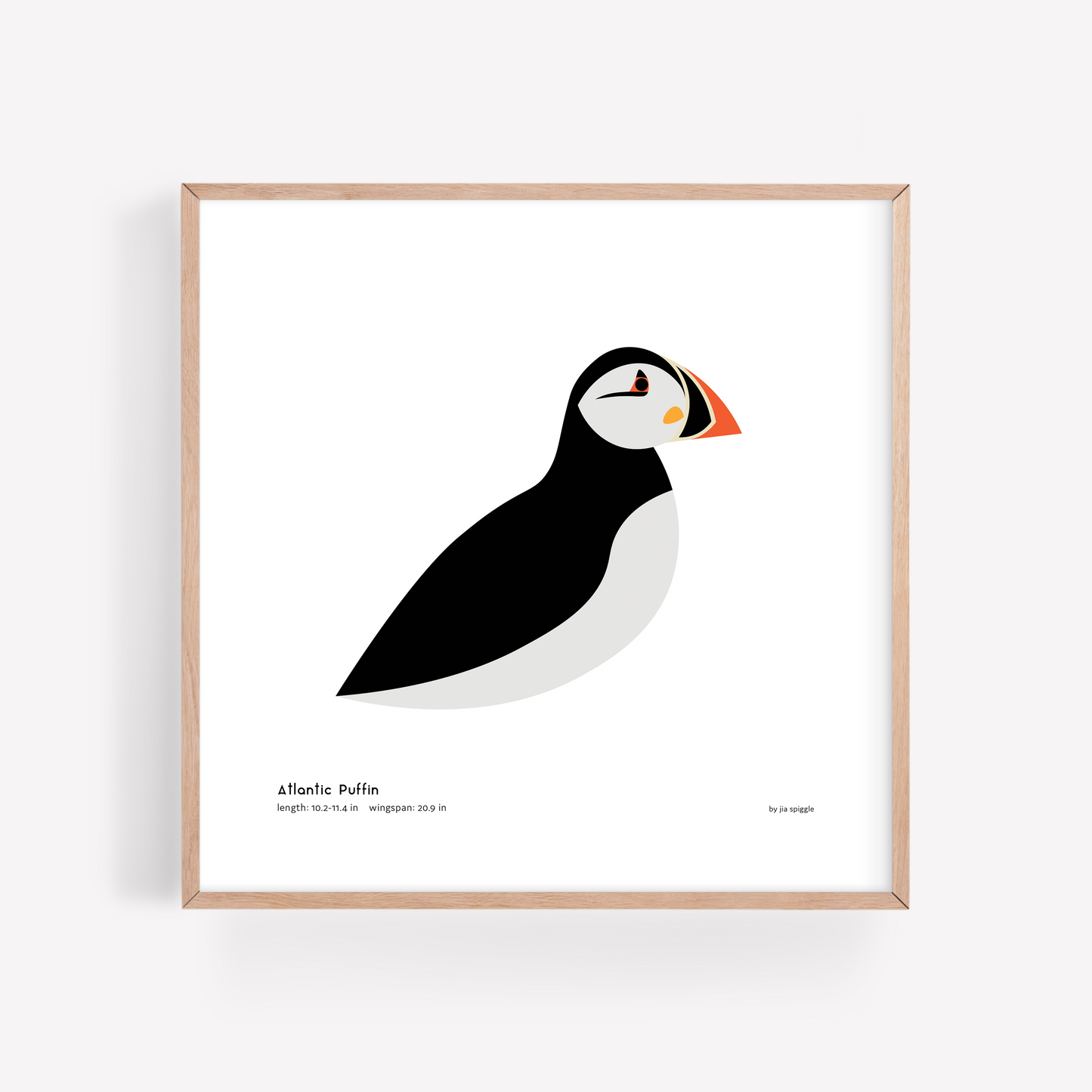Atlantic Puffin Art Print