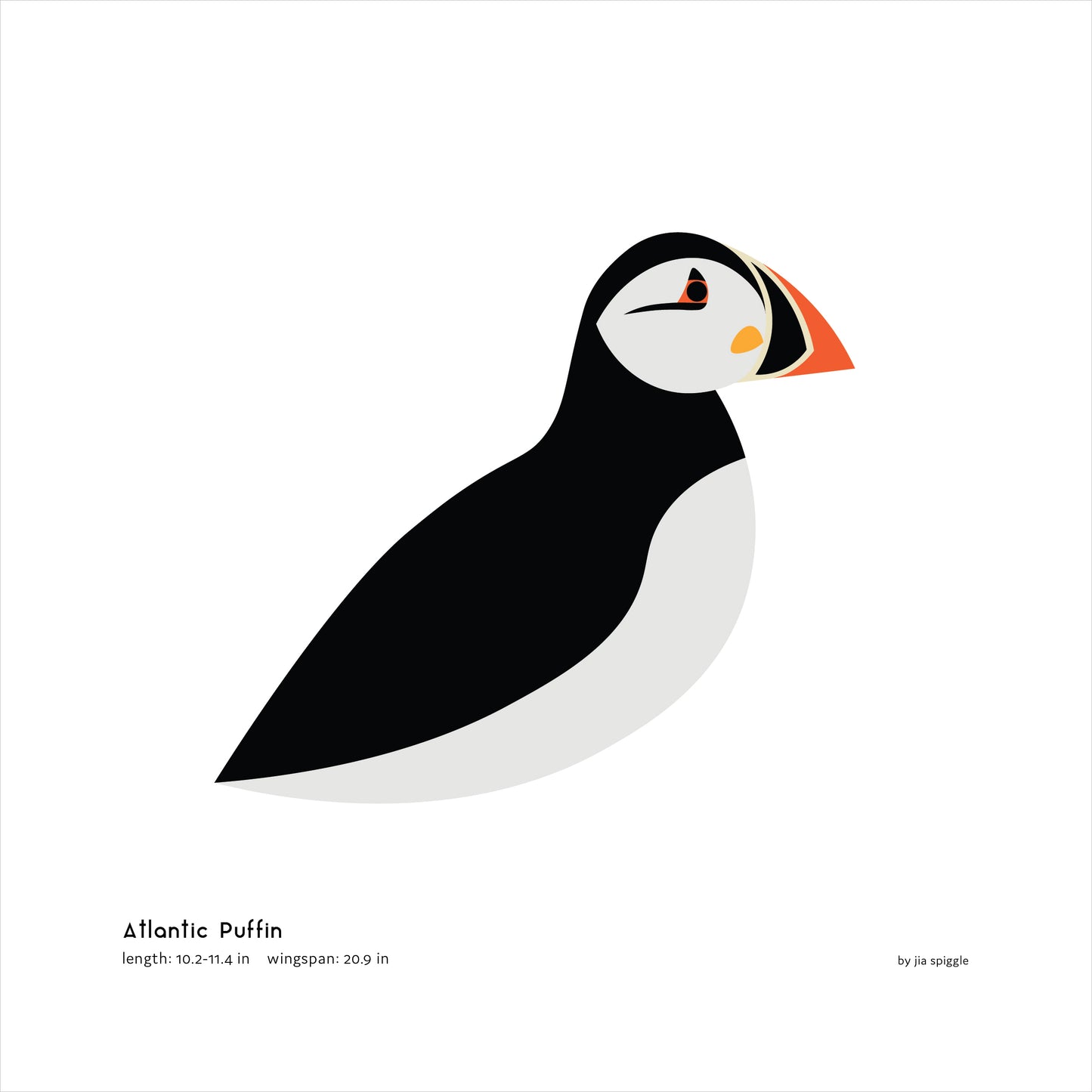 Atlantic Puffin Art Print