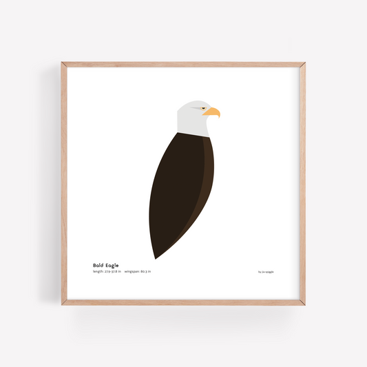 Bald Eagle Art Print