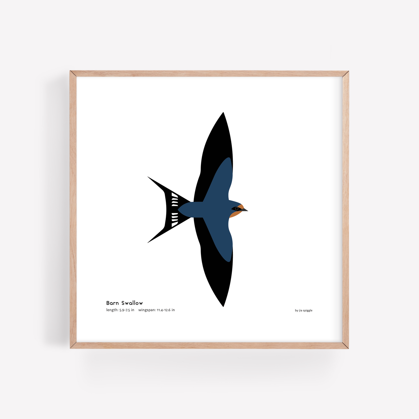 Barn Swallow Art Print