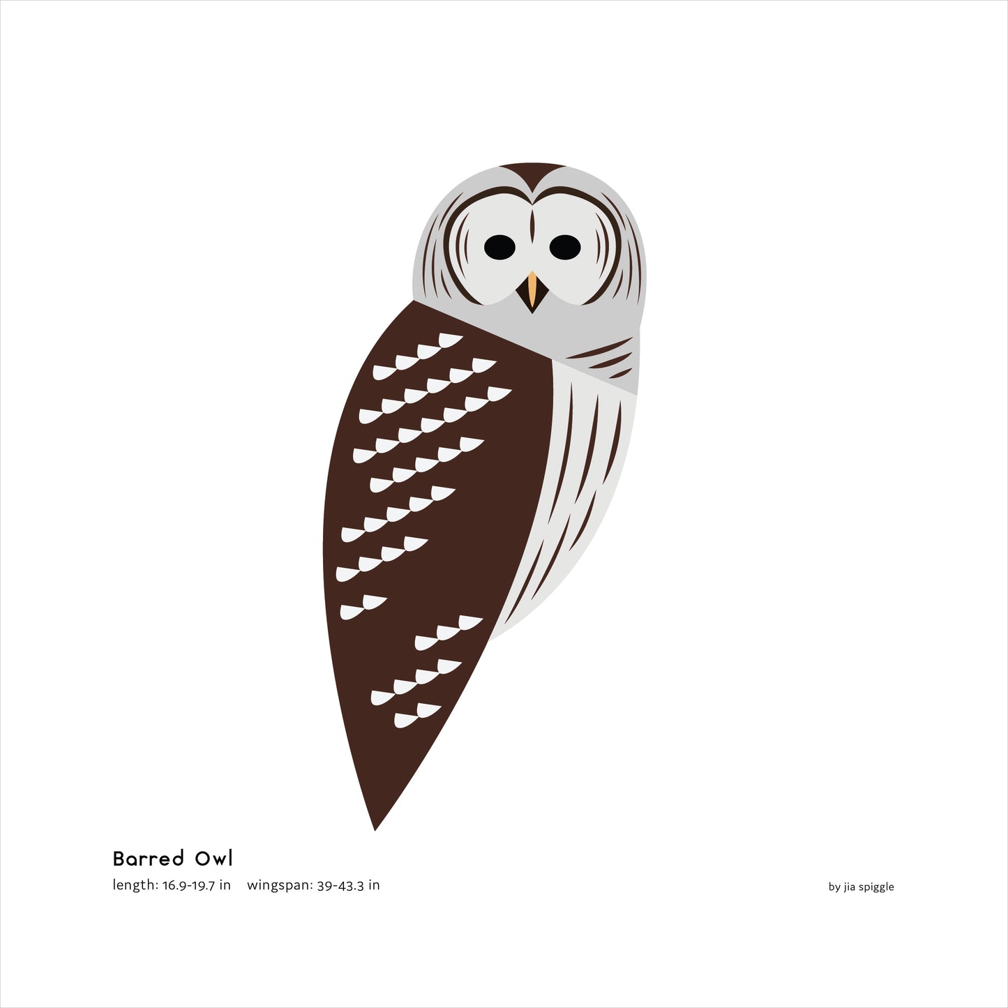 Barred Owl Art Print