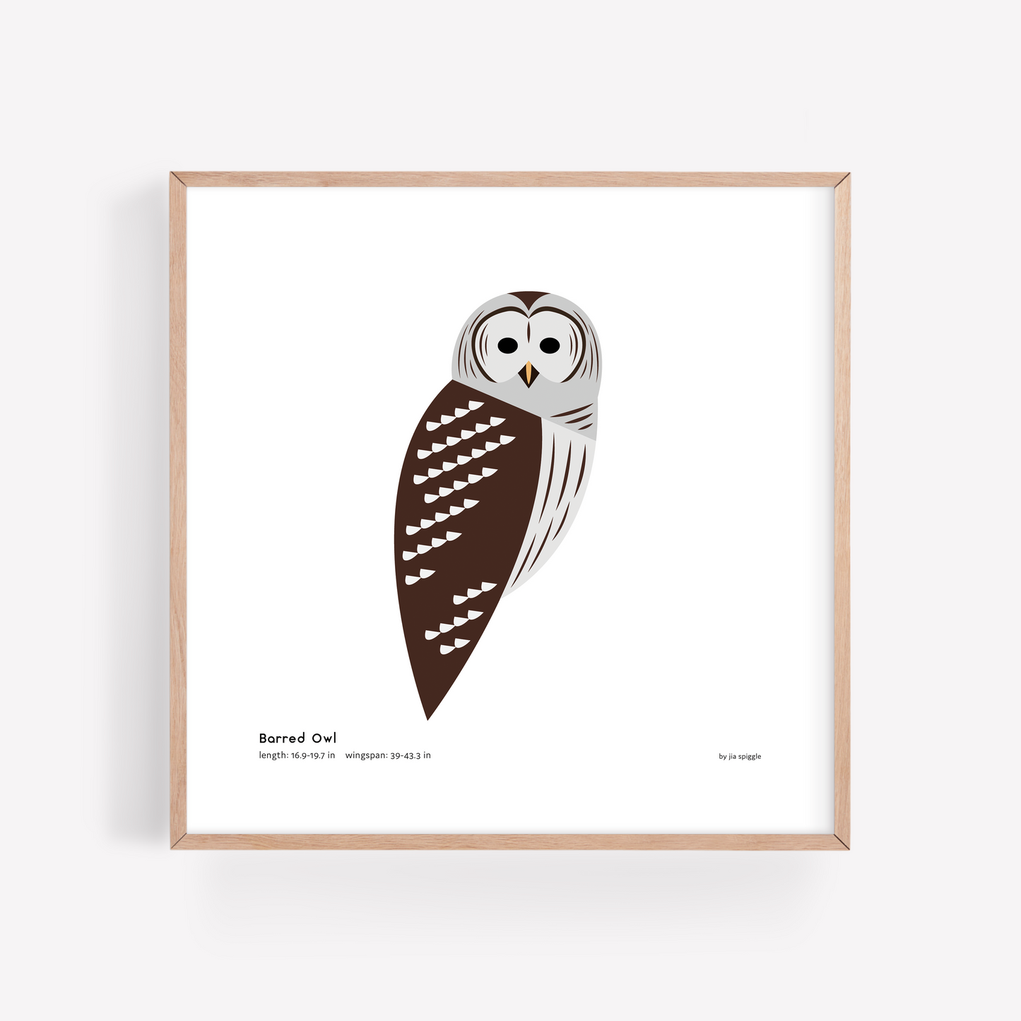 Barred Owl Art Print