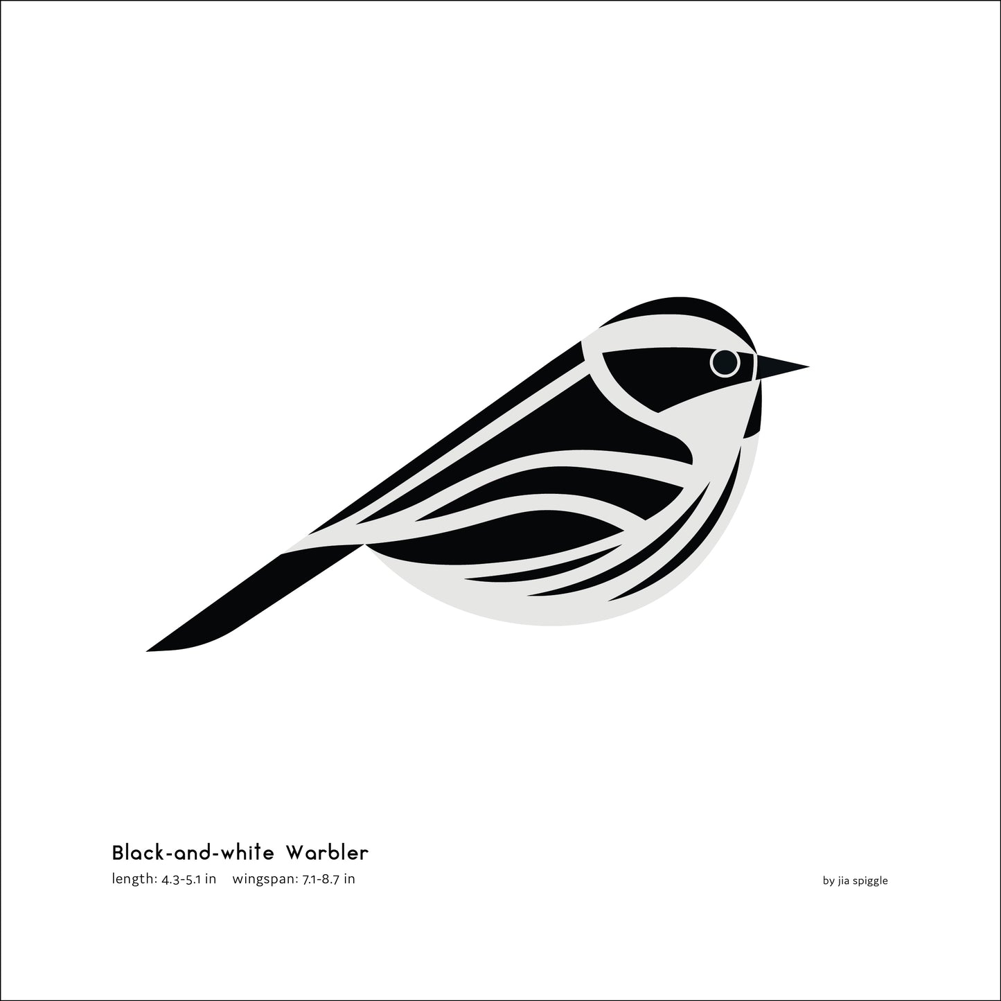 Black-and-white Warbler Art Print