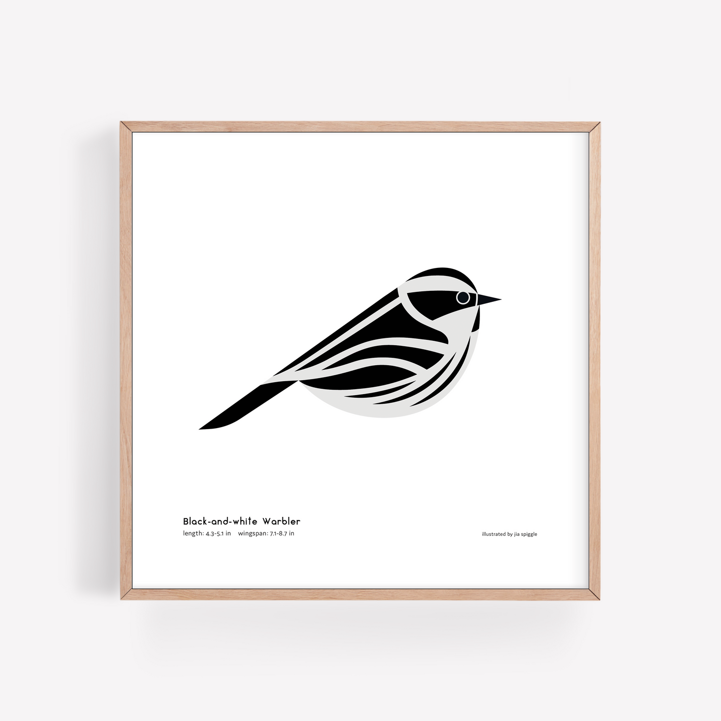 Black-and-white Warbler Art Print