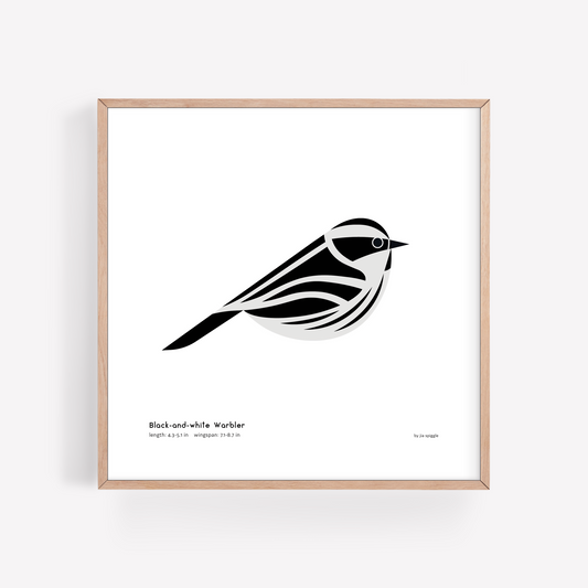 Black-and-white Warbler Art Print