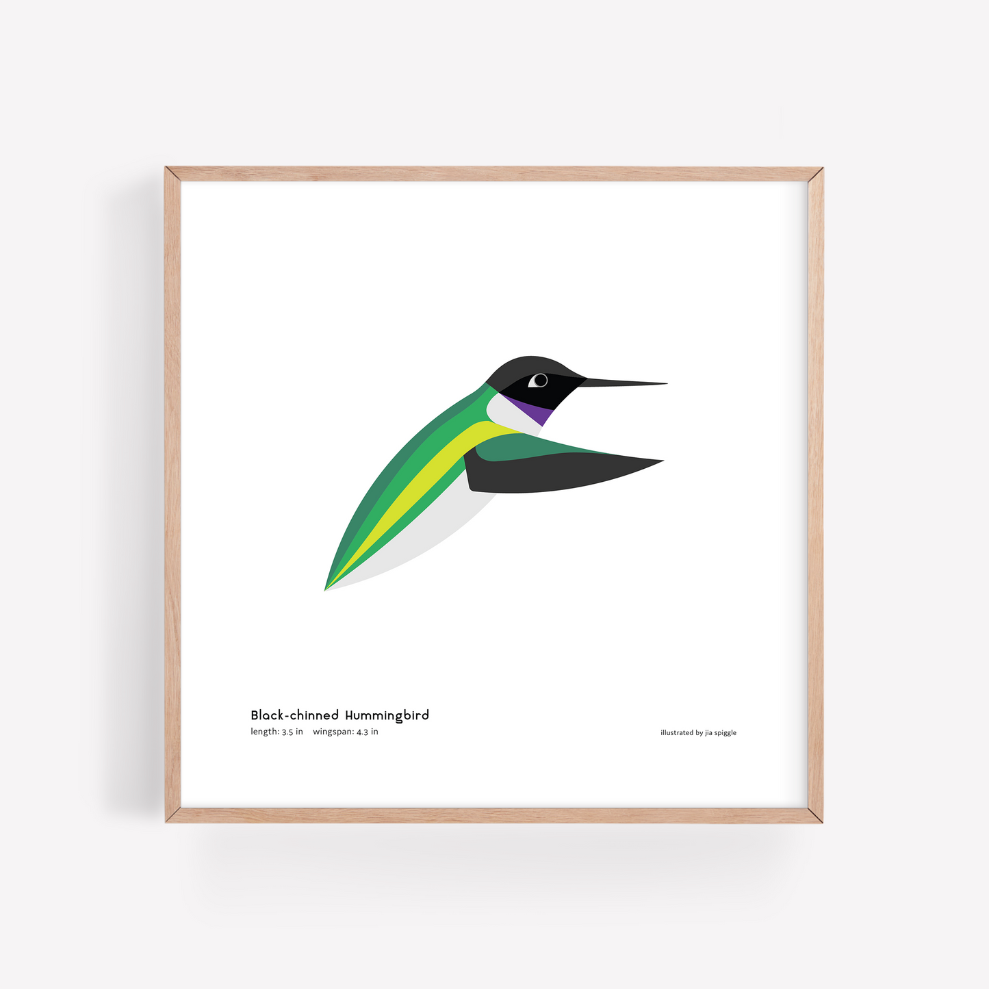 Black-chinned Hummingbird Art Print