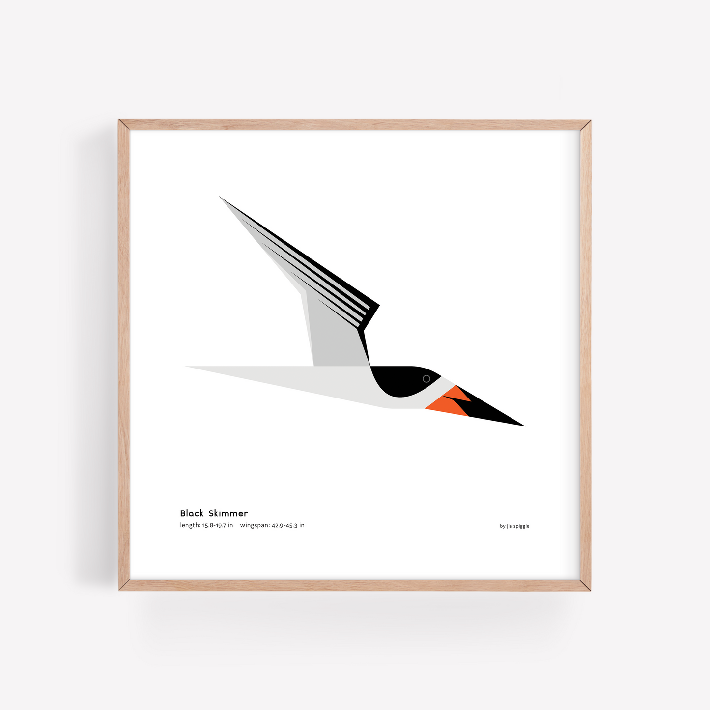 Black Skimmer Art Print