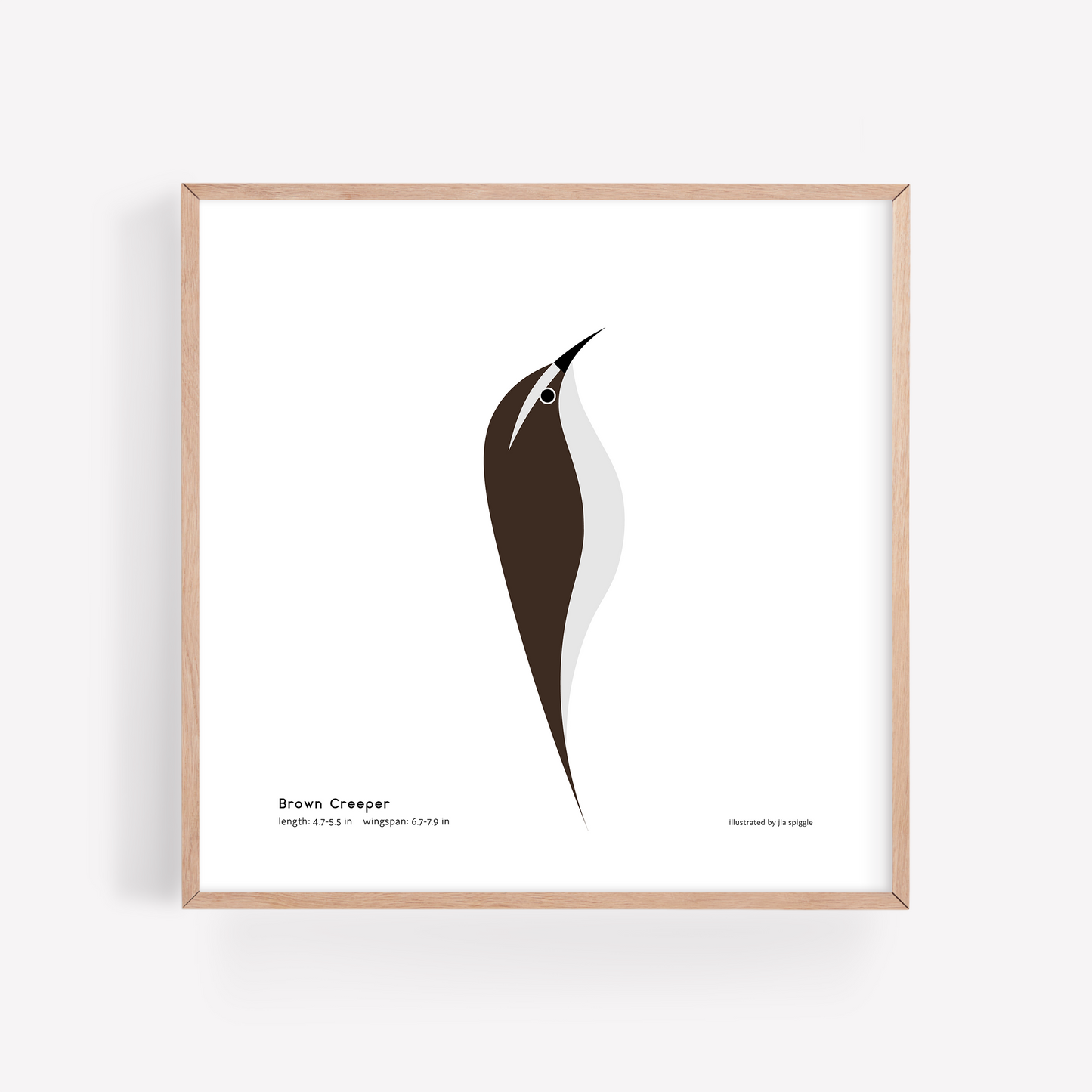 Brown Creeper Art Print