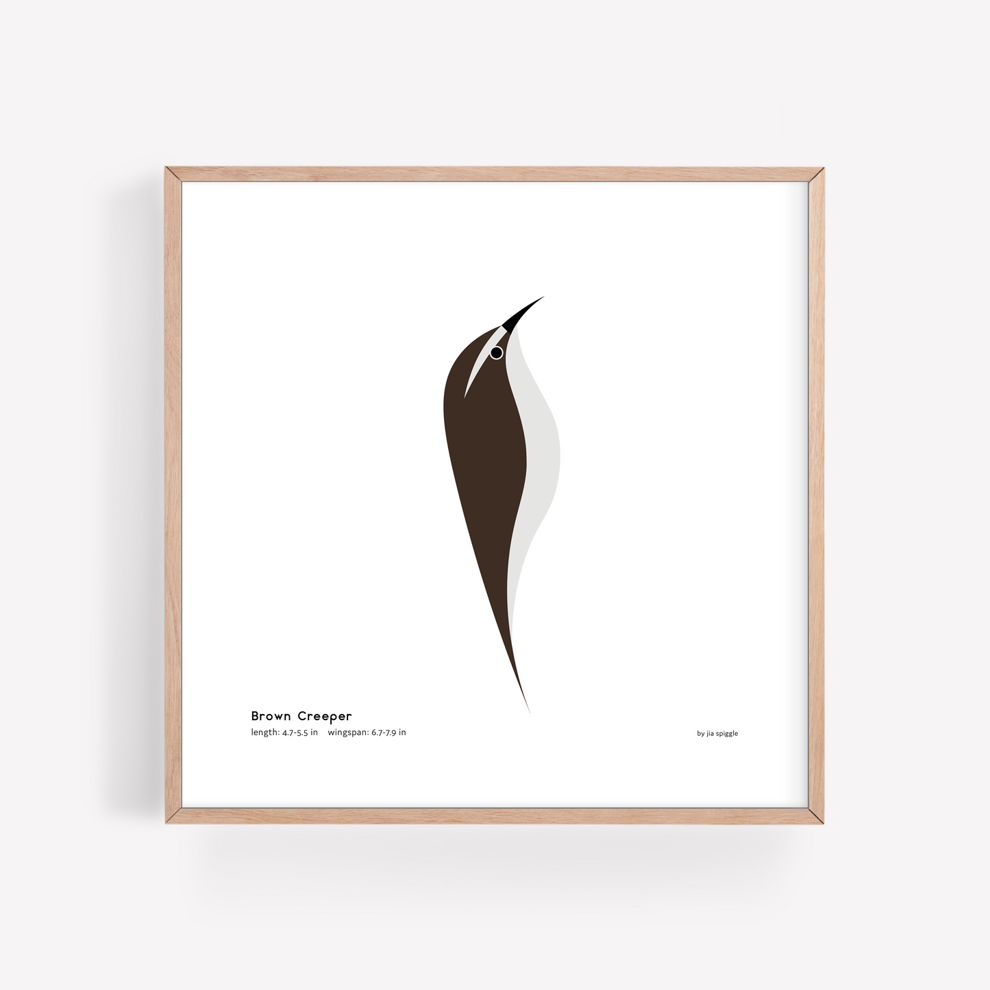 Brown Creeper Art Print