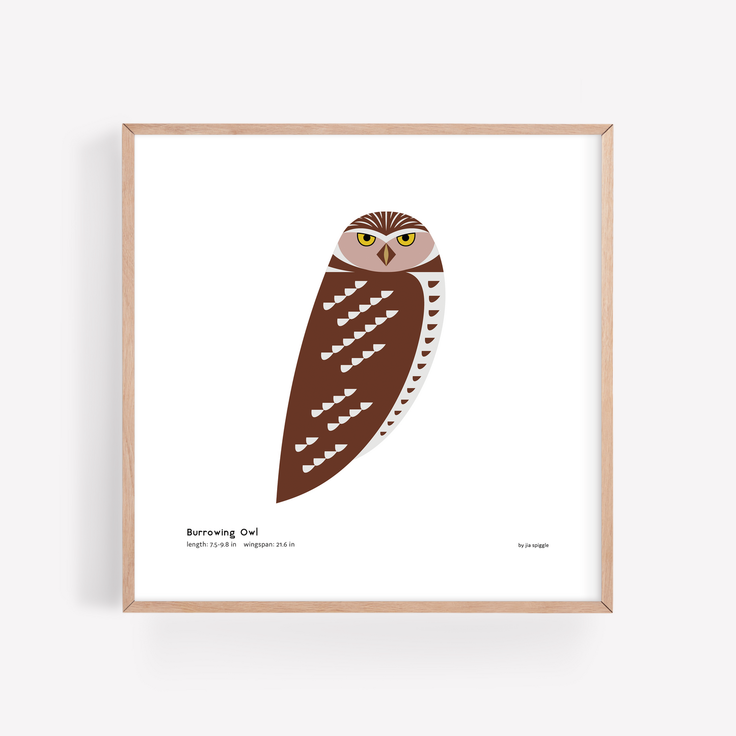 Burrowing Owl Art Print
