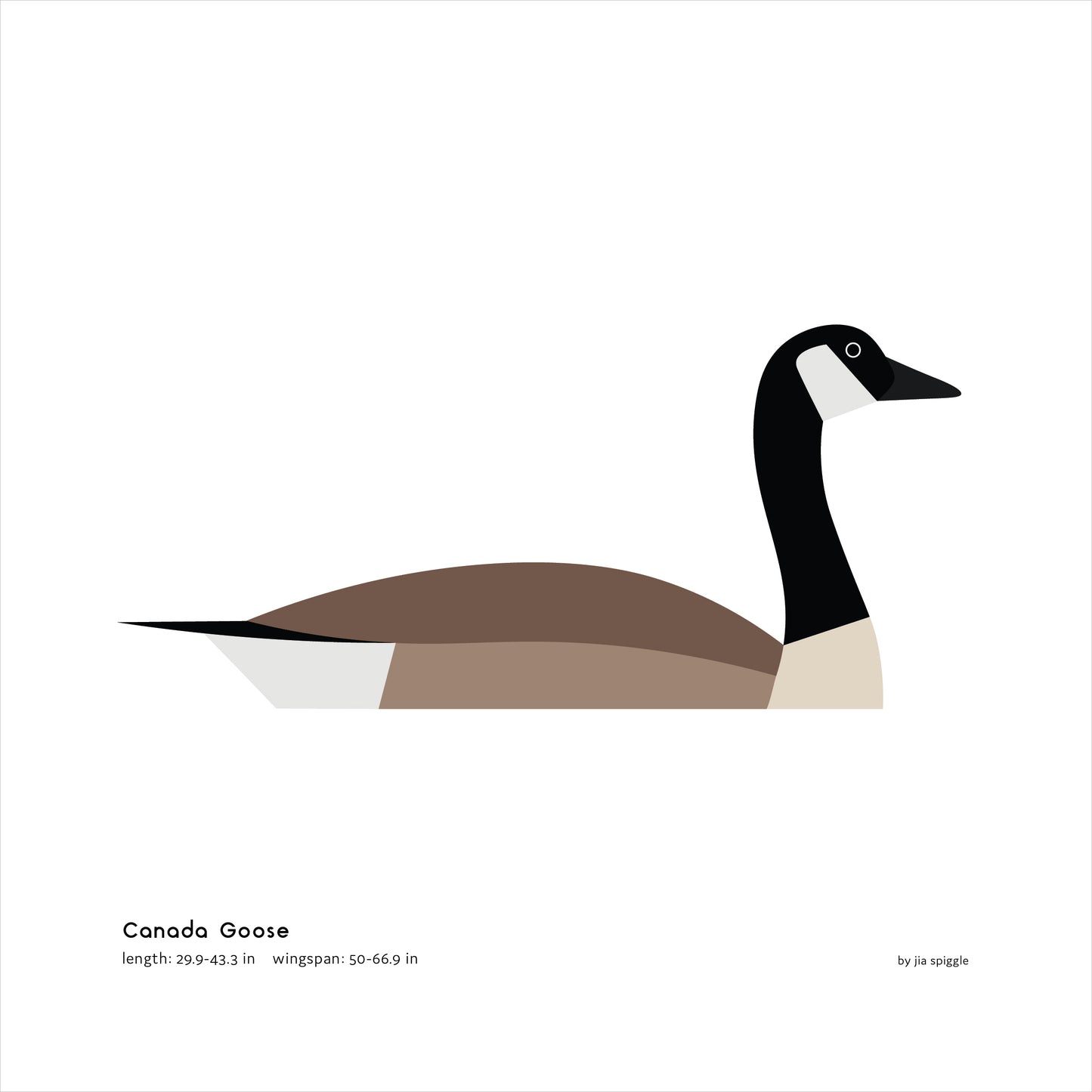 Canada Goose Art Print