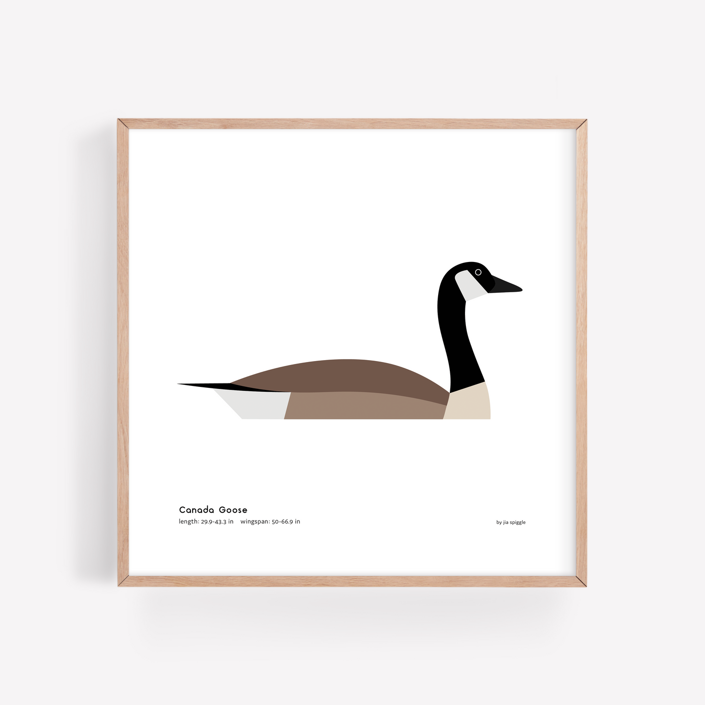 Canada Goose Art Print