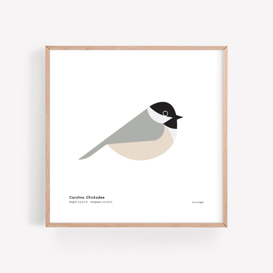 Carolina Chickadee Art Print