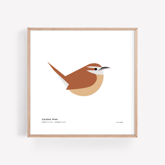 Carolina Wren Art Print