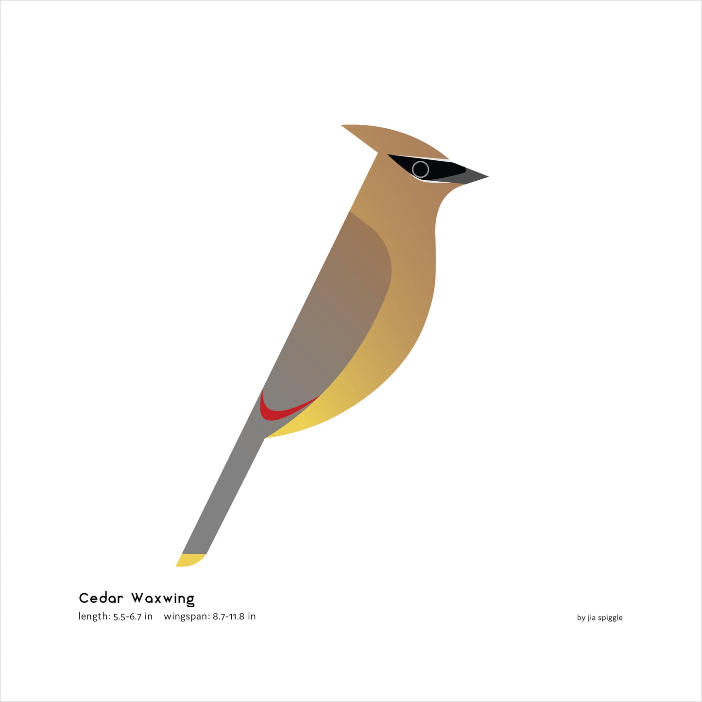 Cedar Waxwing Art Print