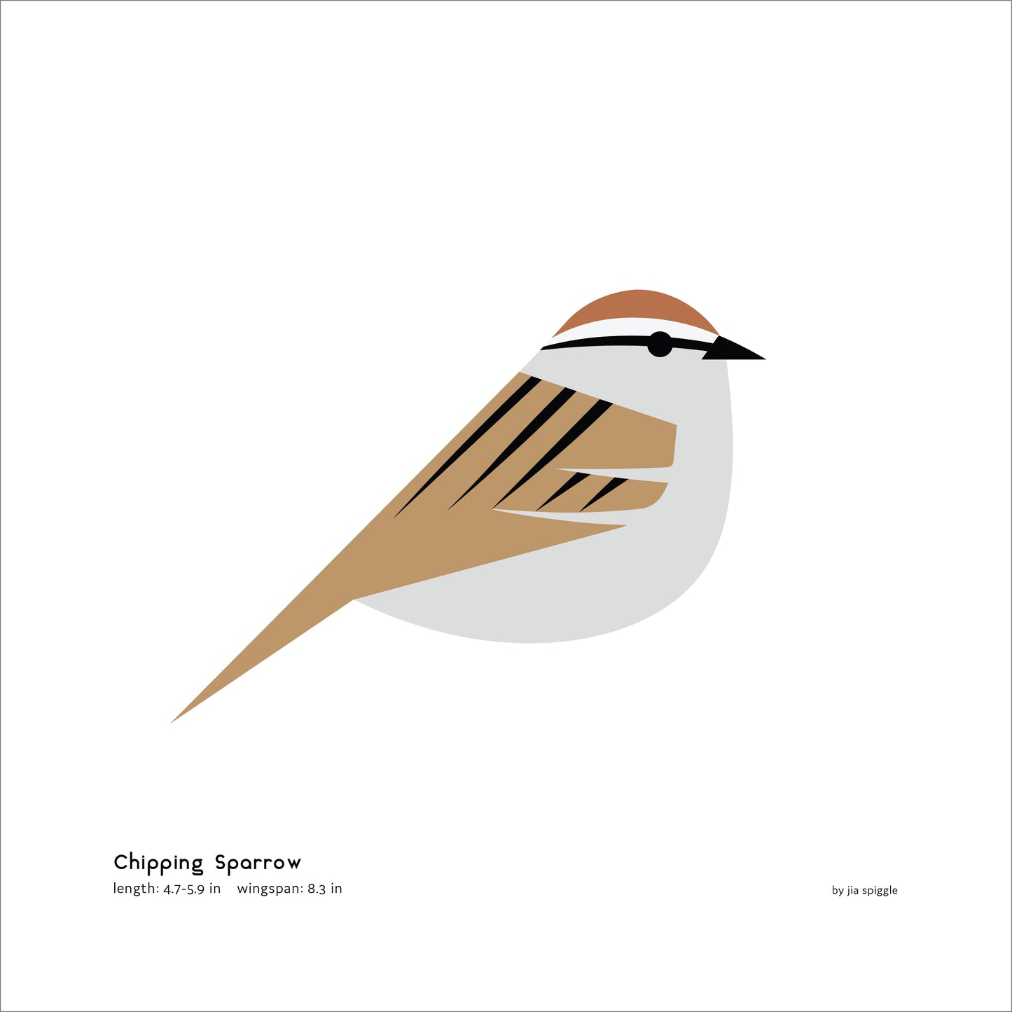 Chipping Sparrow Art Print