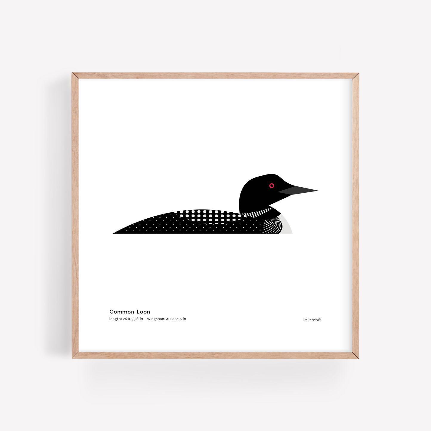 Common Loon Art Print