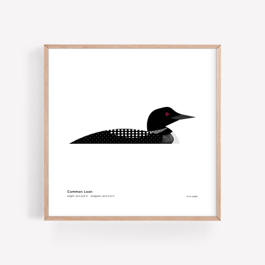 Common Loon Art Print