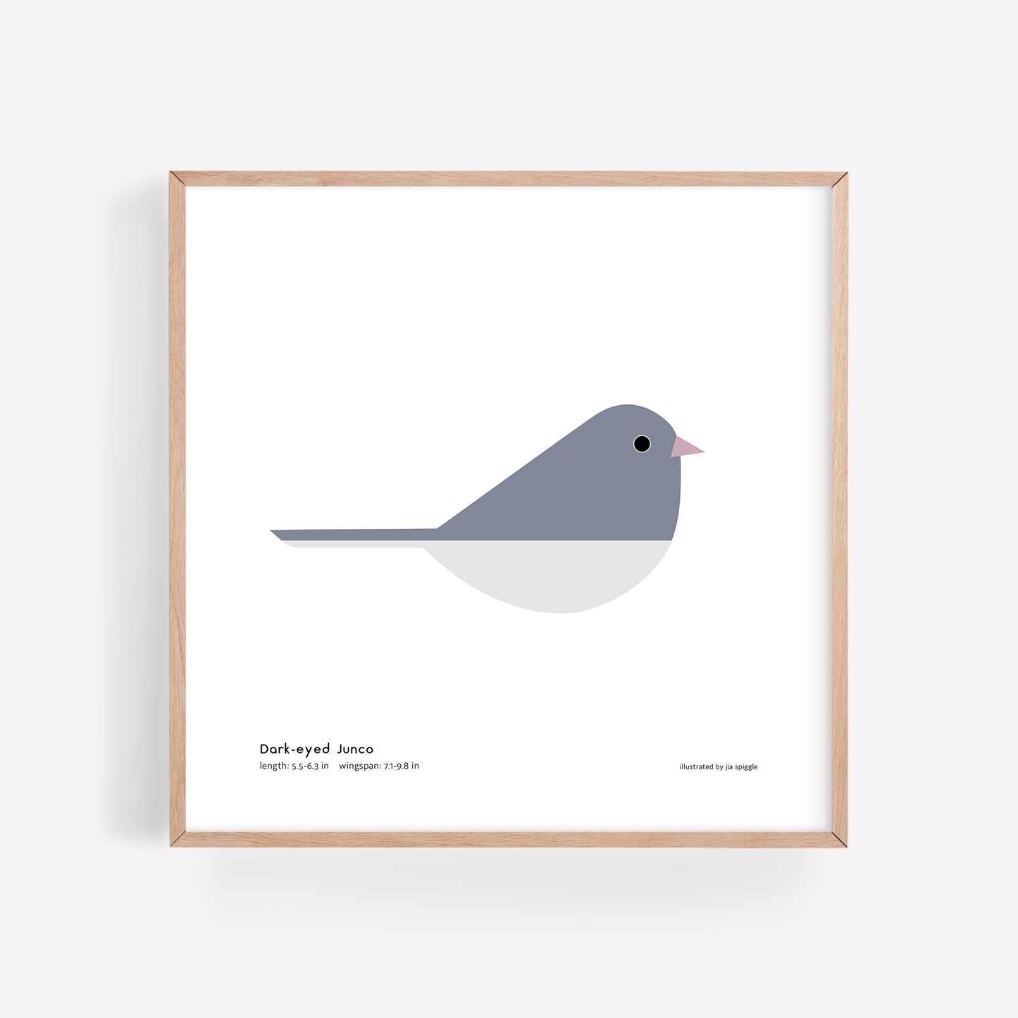 Dark-eyed Junco Art Print