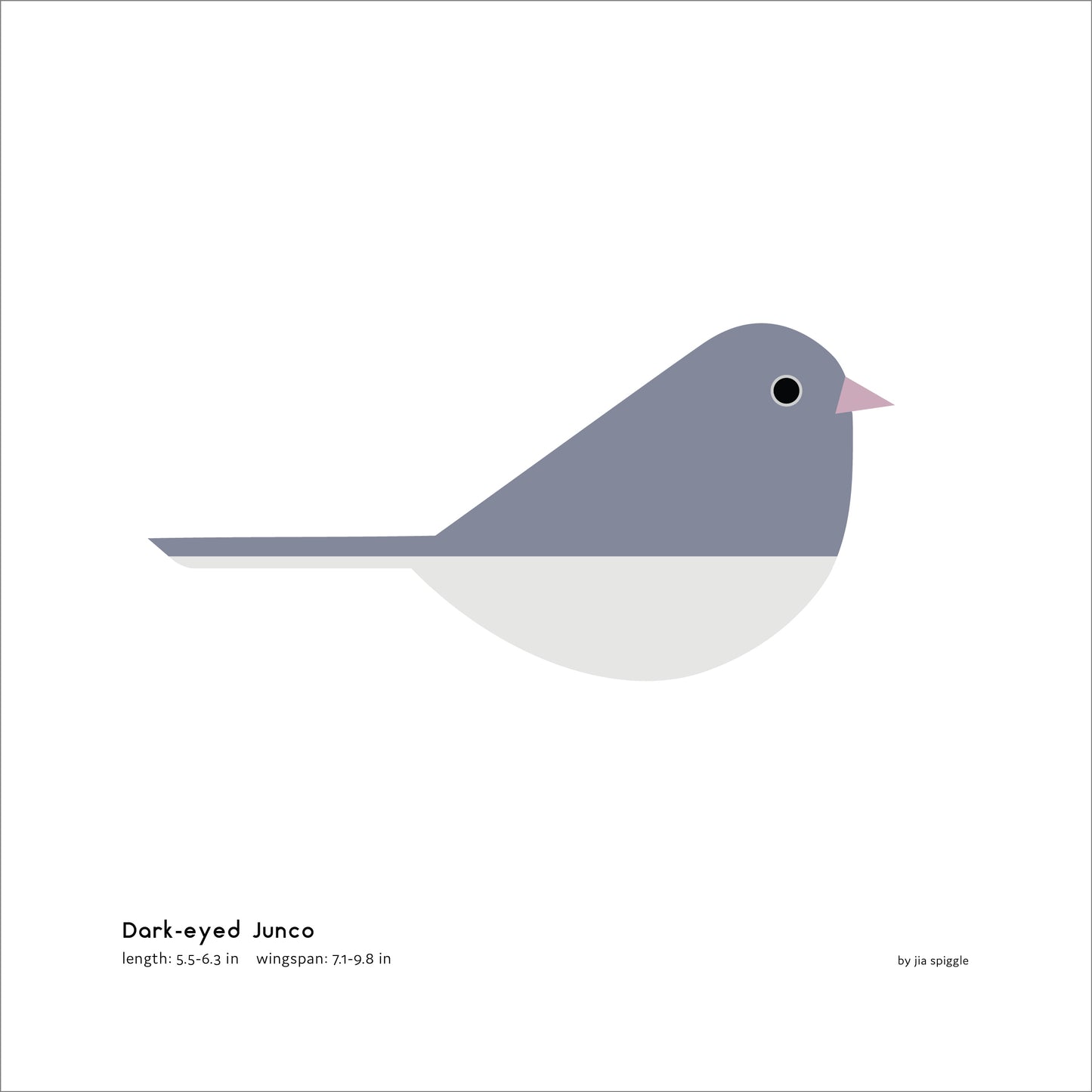 Dark-eyed Junco Art Print