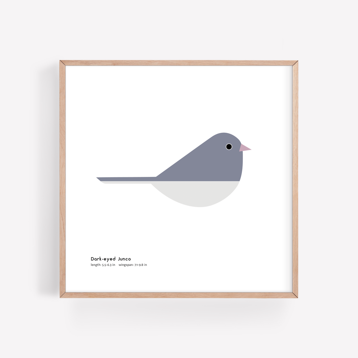 Dark-eyed Junco Art Print