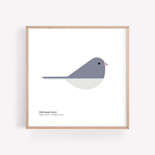 Dark-eyed Junco Art Print