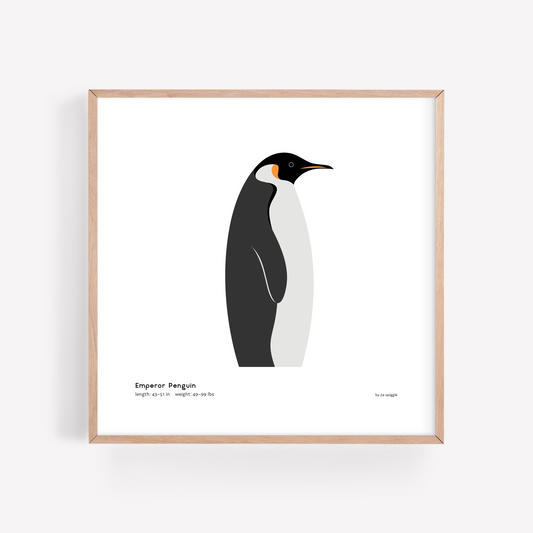 Emperor Penguin Art Print
