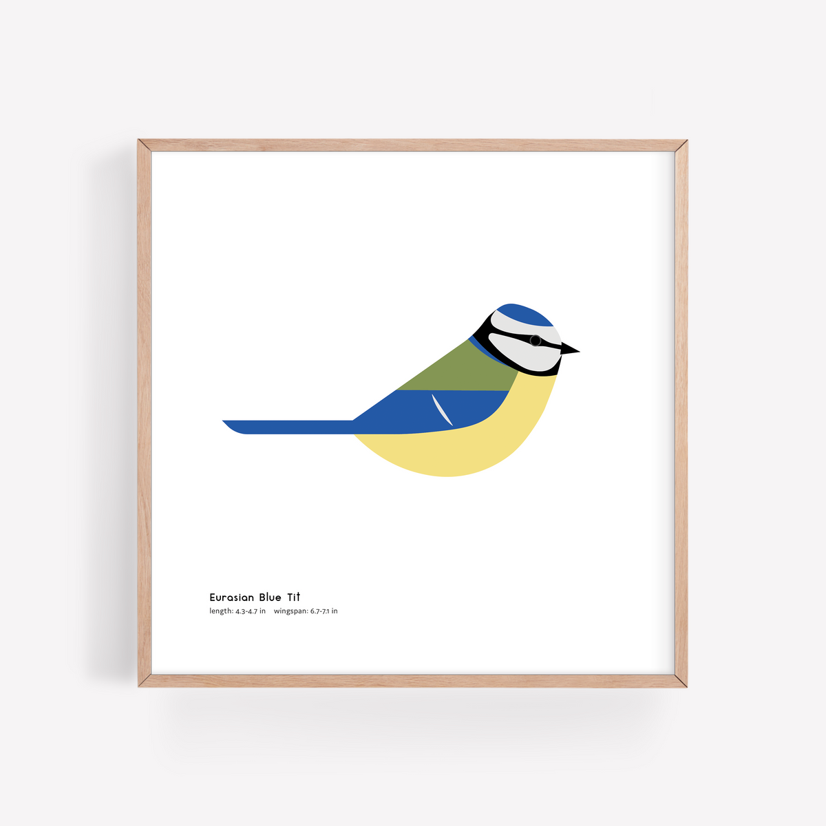 Eurasian Blue Tit Art Print