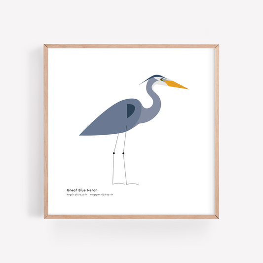Great Blue Heron Art Print