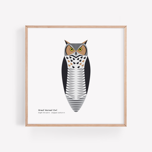 Great Horned Owl Art Print