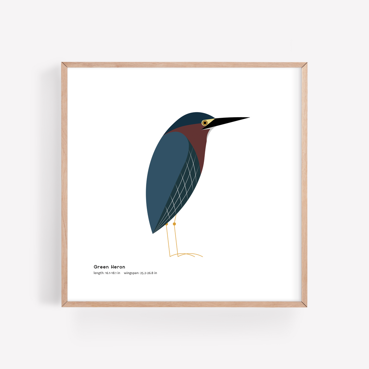 Green Heron Art Print