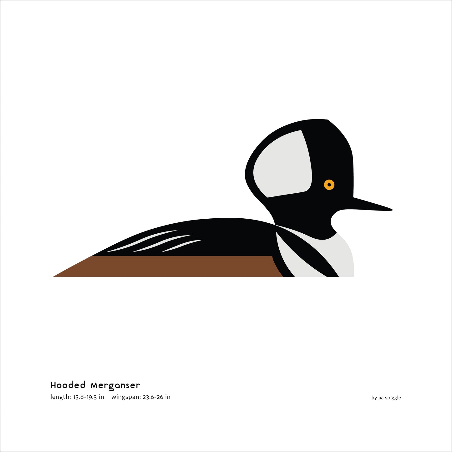 Hooded Merganser Art Print