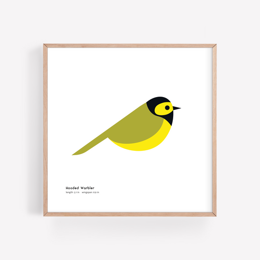 Hooded Warbler Art Print