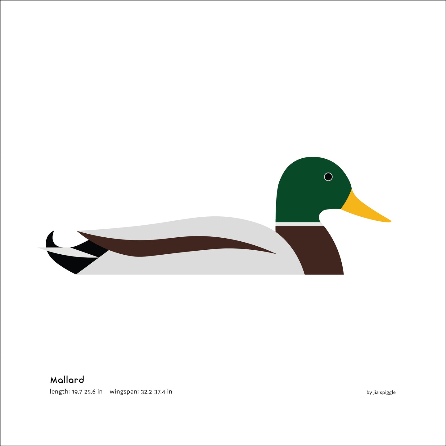 Mallard Art Print
