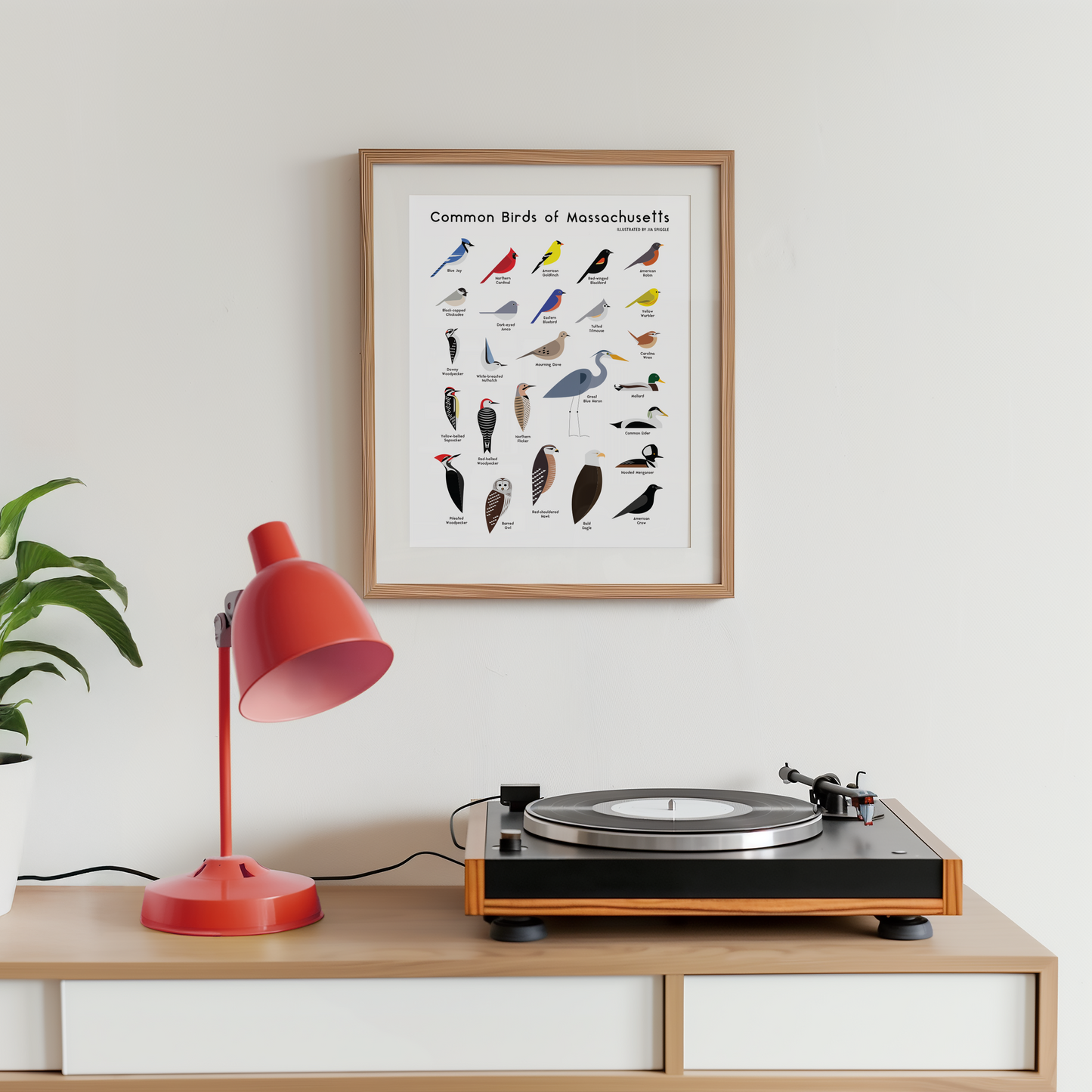Massachusetts Birds Print