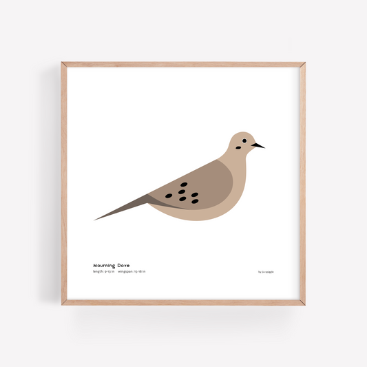 Mourning Dove Art Print