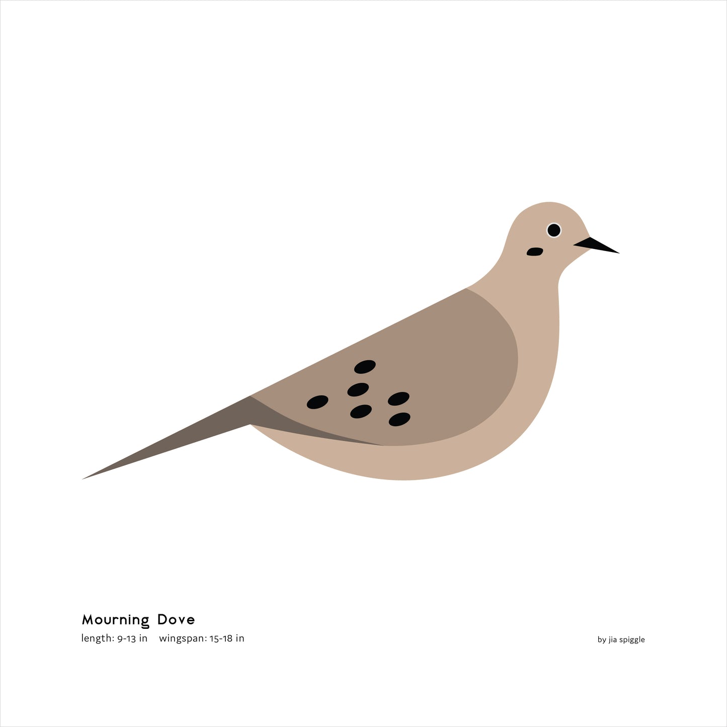 Mourning Dove Art Print
