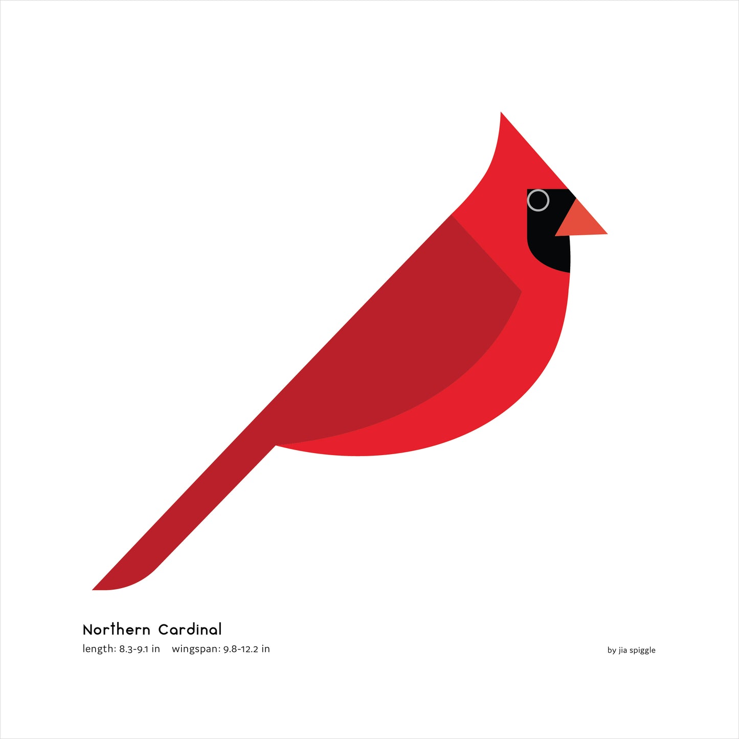 Northern Cardinal Art Print