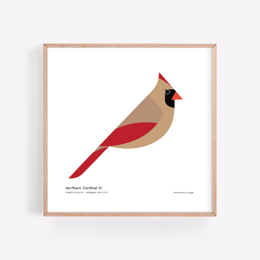 Northern Cardinal Art Print (Female)