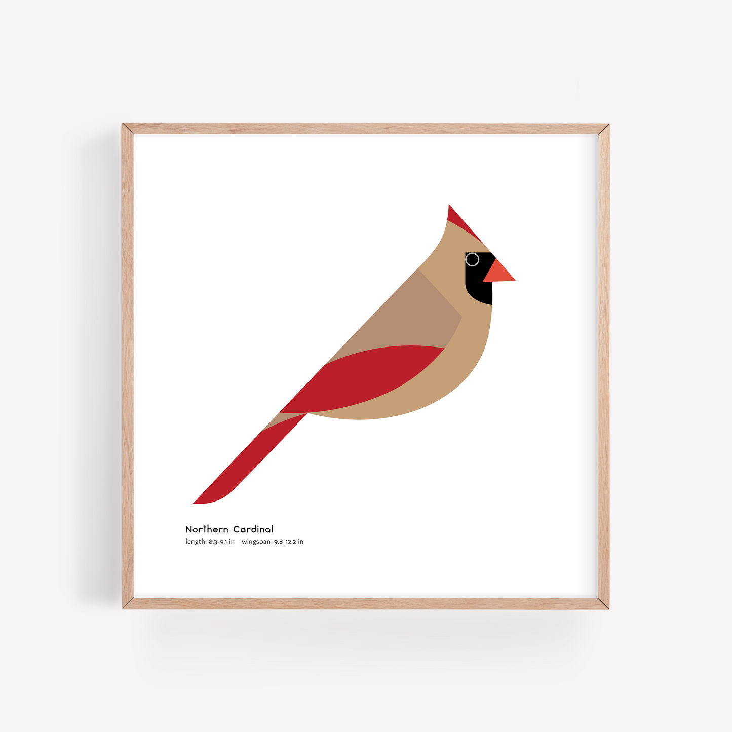 Northern Cardinal (Female) Art Print
