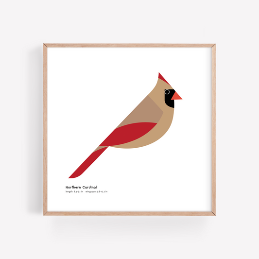 Northern Cardinal (Female) Art Print