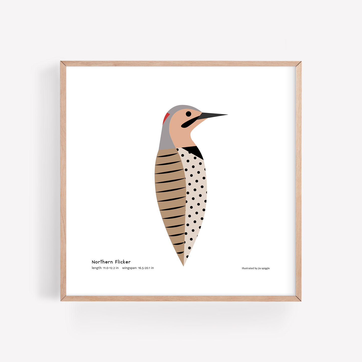 Northern Flicker Art Print