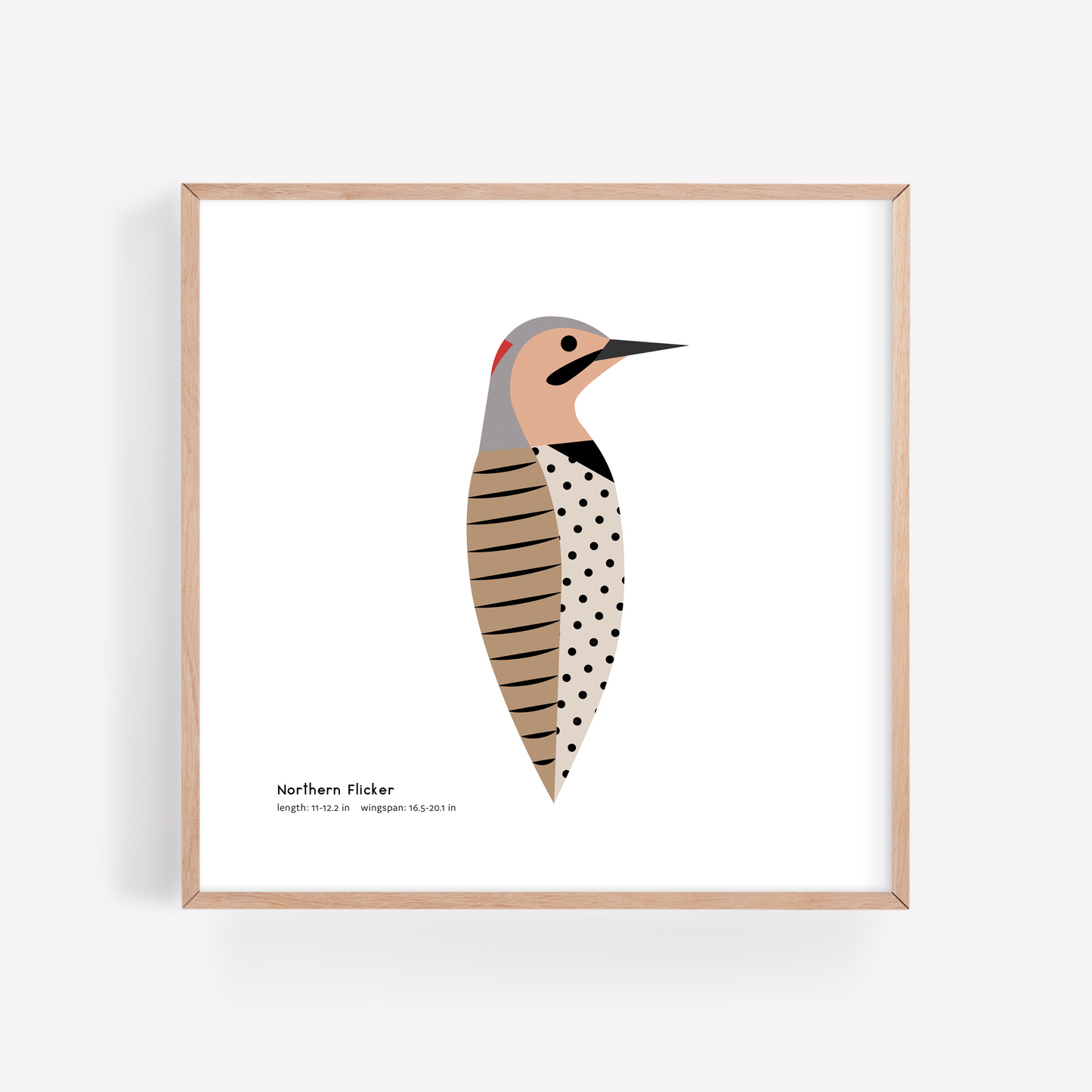 Northern Flicker Art Print